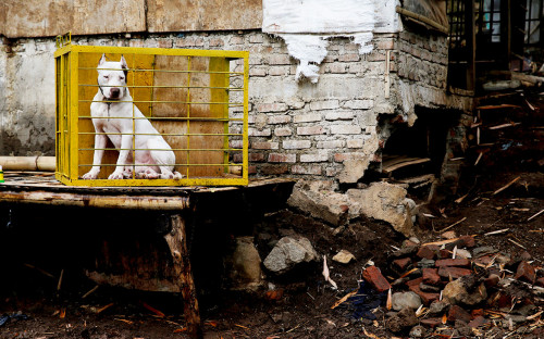 Фото: Beawiharta / Reuters