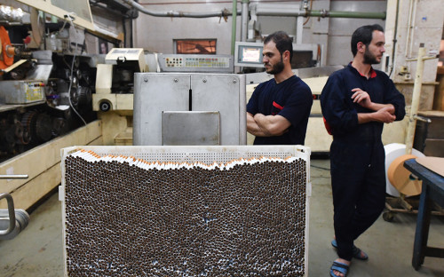 Фото: Михаил Воскресенский / РИА Новости