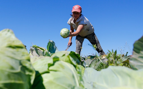Фото:Виталий Невар / ТАСС