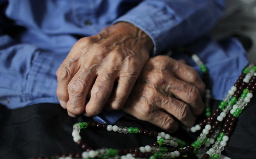 Фото: Валерий Мельников / РИА Новости