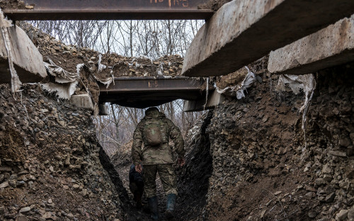 Фото: Brendan Hoffman / Getty Images