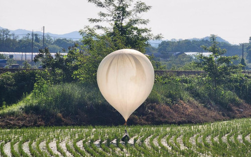 <p>Воздушный шар, предположительно отправленный Северной Кореей, над рисовым полем в Южной&nbsp;Корее<br />
&nbsp;</p>