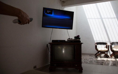 Фото: Andrea Hernandez / Getty Images