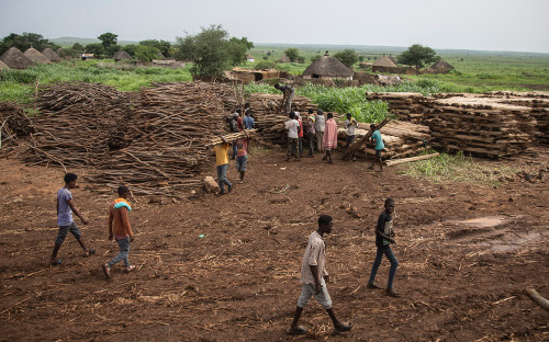 Фото: Abdulmonam Eassa / Getty Images