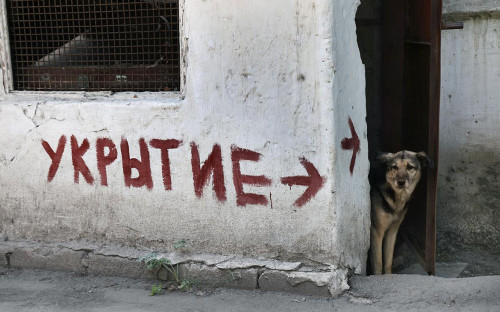 Фото: Владимир Гердо / ТАСС