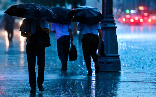 Фото: Евгений Одиноков / РИА Новости