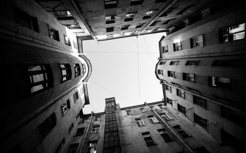 Фото: Shutterstock