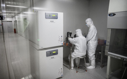 Фото: Kevin Frayer / Getty Images