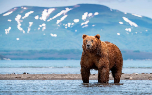 Фото: Petr Simon / Shutterstock