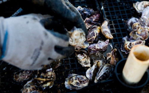 Фото: Sam Hodgson / Bloomberg