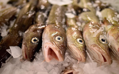 Фото: Jeff J Mitchell / Getty Images