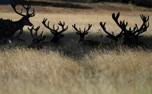 Фото: Toby Melville / Reuters