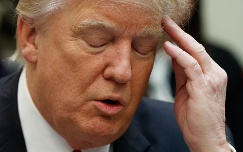 Дональд Трамп


