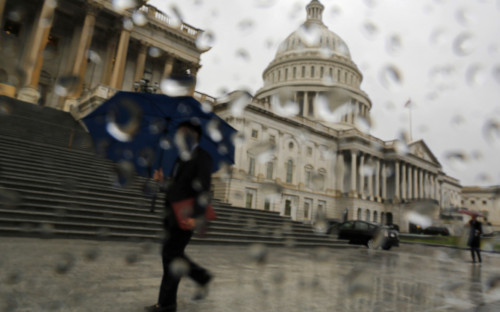 Фото: Jonathan Ernst / Reuters