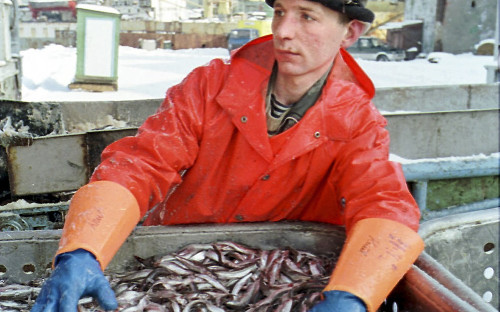Мурманский рыбный порт