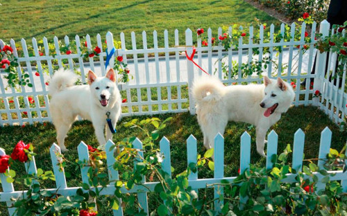 Фото: KCNA