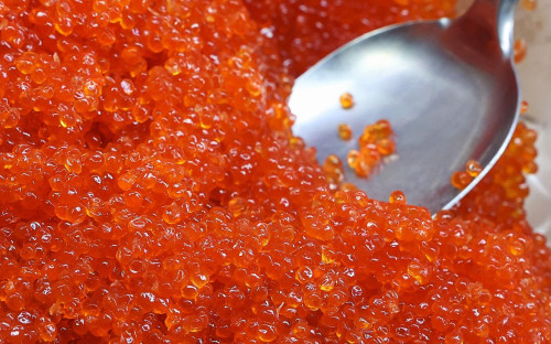 Фото: Сергей Петров / NEWS.ru / Global Look Press