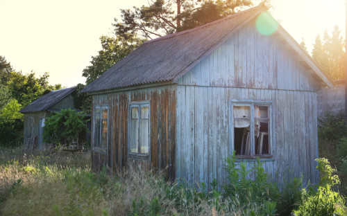 Фото: Missarabika/shutterstock.com