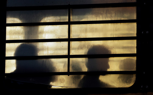 Фото:David J. Phillip / AP