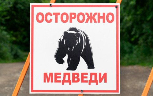 Фото: А. А. Пирагис / Фотобанк Лори