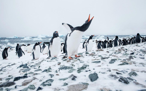 Фото: Christian Vorhofer / imagebroker.com / Global Look Press