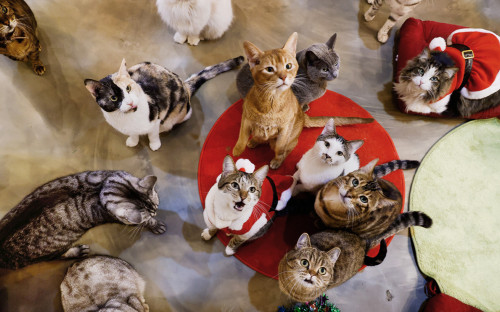 Фото:Kim Hong-Ji / Reuters