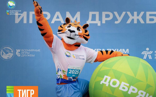 Фото: телеграм-канал Игр дружбы