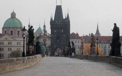 В Чехии продлили режим ЧС из-за коронавируса до конца февраля