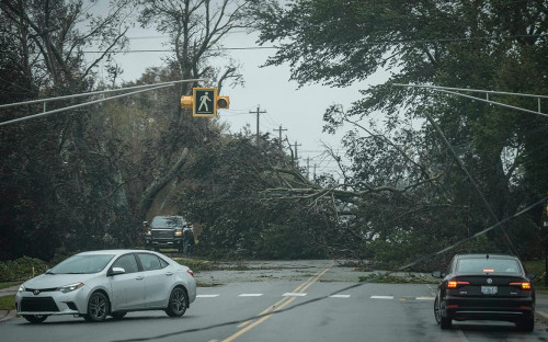 Фото: Drew Angerer / Getty Images