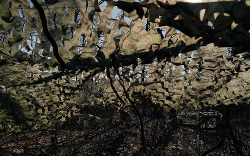 Фото: Pierre Crom / Getty Images
