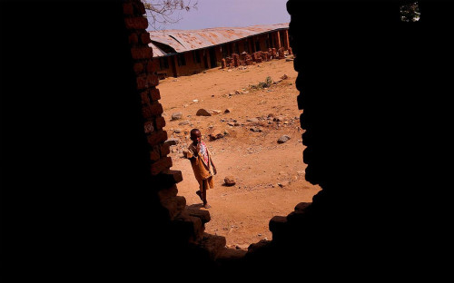 Фото: Spencer Platt / Getty Images