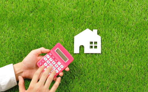 Фото: beeboys/shutterstock.com