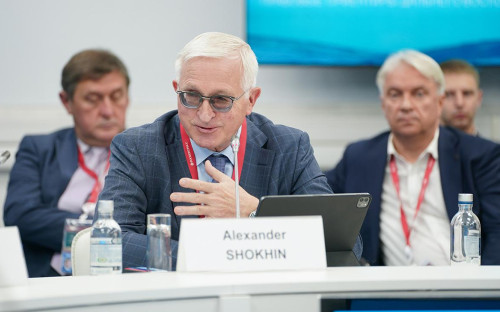 <p>Александр Шохин</p>