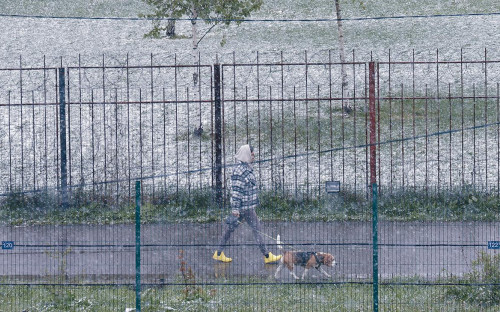 Фото: Андрей Любимов / РБК