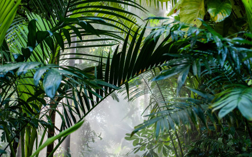 Фото: Shutterstock