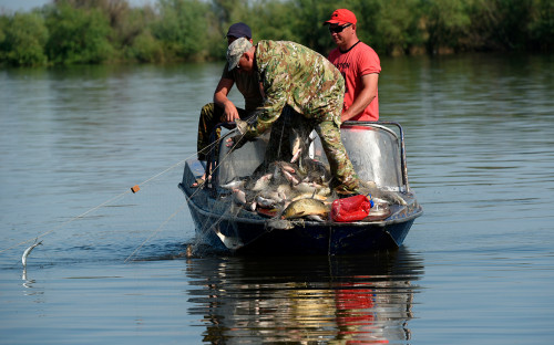 Работа инспекторов рыбоохраны по изъятию рыболовных сетей из акватории реки Волга