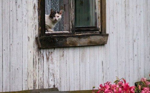 Фото: Сергей Бобылев/ТАСС