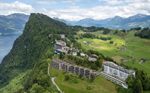 <p>Бюргеншток</p>