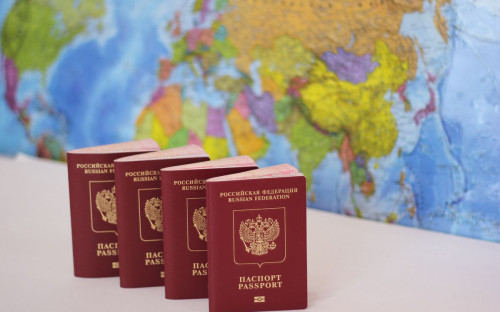 Фото: YULIYA Shustik\shutterstock