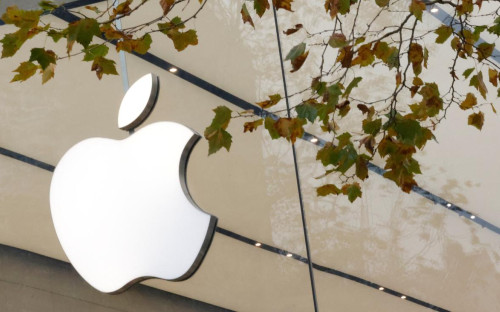 Фото: Yves Herman / Reuters