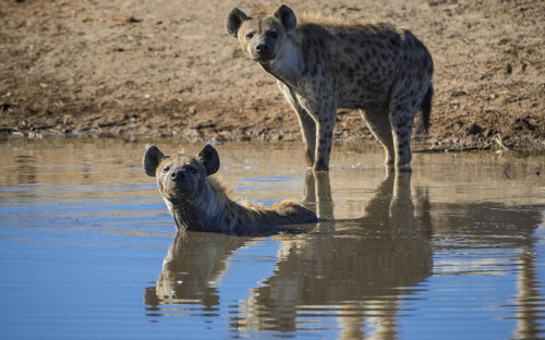 Фото: Matthias Graben / imagebroker.com / Global Look Press