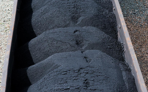 Фото: Кирилл Кухмарь / ТАСС