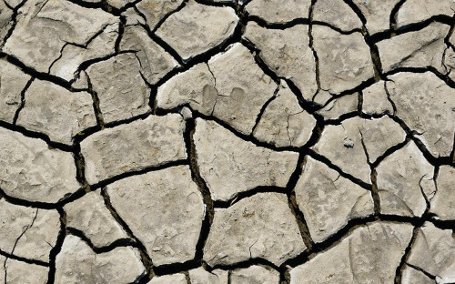 Фото: Wilfried Wirth / imagebroker.com / Global Look Press