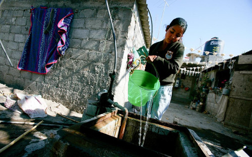 Фото: Brent Stirton / Getty Images
