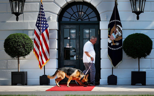 Фото: Chip Somodevilla / Getty Images