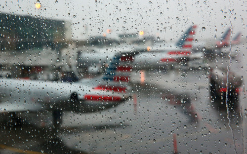 Фото: Shannon Stapleton / Reuters