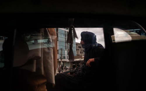 Фото: Nava Jamshidi / Getty Images