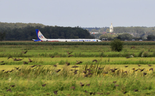 Самолет Airbus A321 авиакомпании &laquo;Уральские авиалинии&raquo;, который 15 августа 2019 совершил аварийную посадку в кукурузном поле в районе аэропорта Жуковский