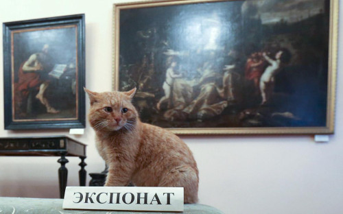Фото: Вячеслав Прокофьев / ТАСС