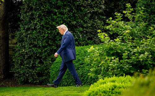 Дональд Трамп